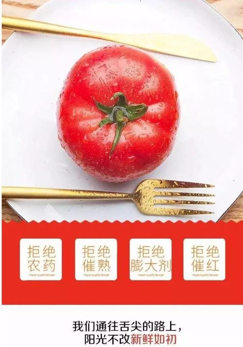 网红泡椒番茄吃瓜,揭秘美食背后的故事  第2张