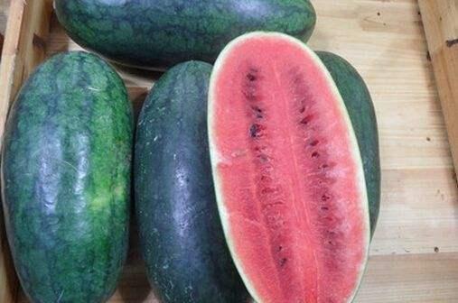 韩城网韩城市吃瓜视频,吃瓜群众视角下的韩城市生活百态  第2张