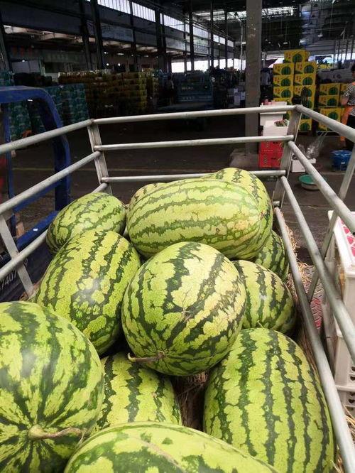 韩城网韩城市吃瓜视频,吃瓜群众视角下的韩城市生活百态  第3张