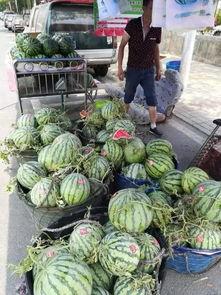 怒江百万网红吃瓜事件,揭秘网络事件背后的真相与影响  第1张