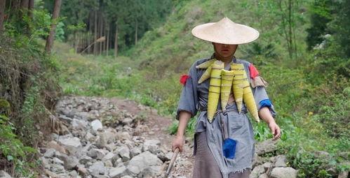 怒江百万网红吃瓜事件,揭秘网络事件背后的真相与影响  第2张