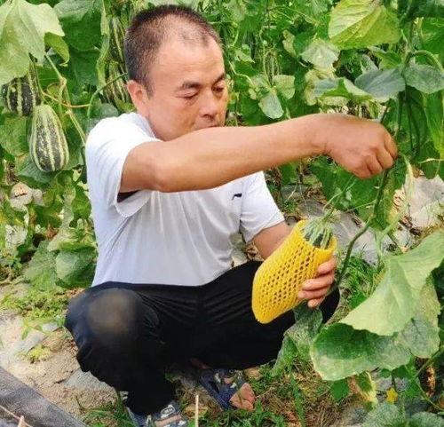 国产网暴吃瓜  第3张