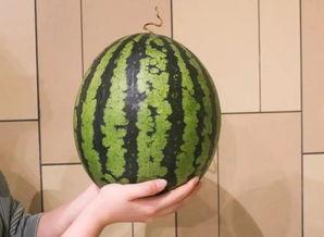 杭州圈网红吃瓜  第3张