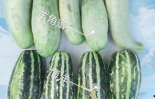 网红的瓜在线吃,跟随“瓜”的脚步，在线品尝娱乐圈新鲜事  第3张