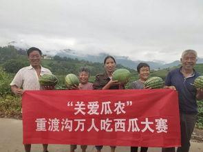 濮阳吃瓜群众网最新消息,揭秘最新热点事件，带你一探究竟！  第2张